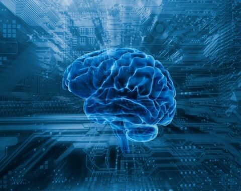 88e36b21b995e32f61d1ce38e025cf53